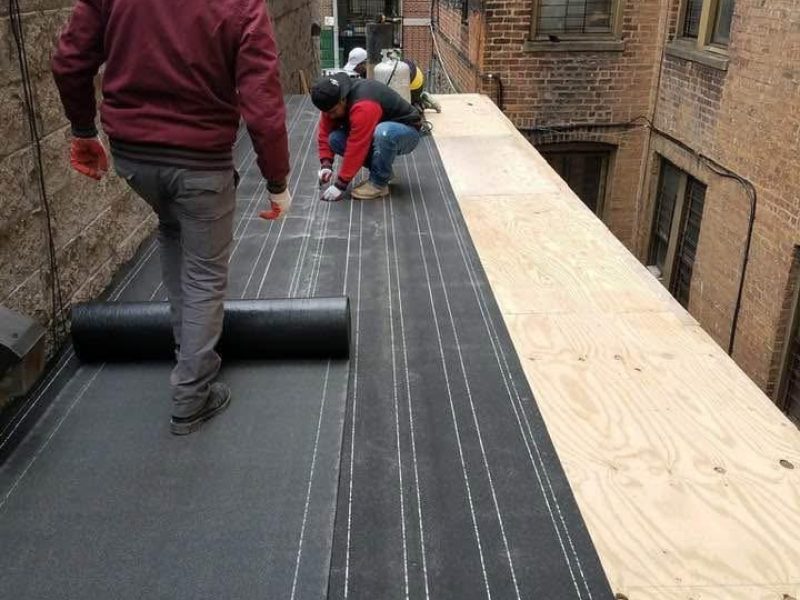 WhatsApp Image 2026-01-08 at 4.20.44 PM (2)